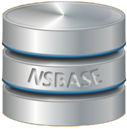 logo NSBase