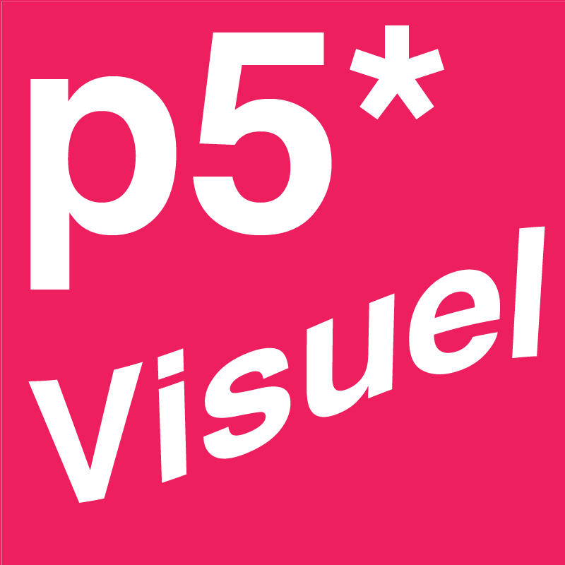 logo p5Visuel